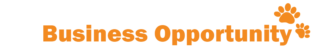 business opportunity